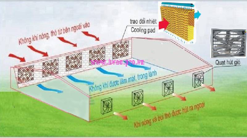 chống nóng mái tôn nhà xưởng