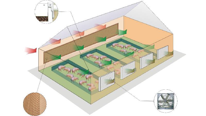 hệ thống làm mát chuồng trại