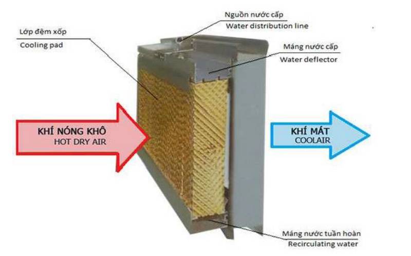 Những lưu ý khi thêm nước cho quạt điều hòa