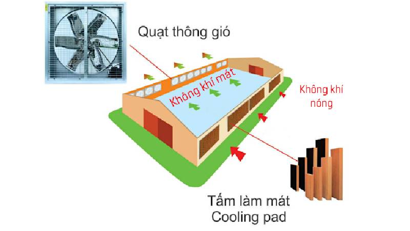 Hệ thống thông gió nhà xưởng với tấm làm mát